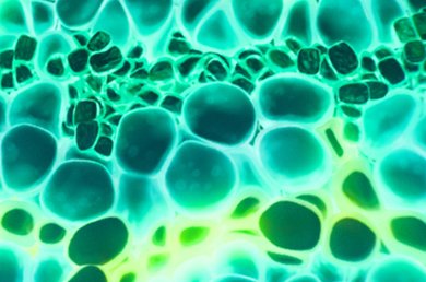 Close up of a teal haircare ingredient under the microscope mobile