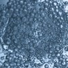Zinc Gluconate