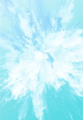 MATTIFYING POWDER